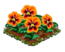 orangepansy.png