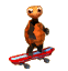 orangeTortoise.png