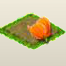 Oranja Tulpe.png