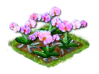 orchid_Icon.png