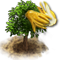 P7ed6fo[1].png