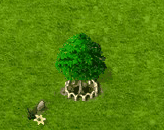 Palmweide XL.gif