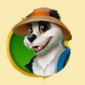 Panda.jpg