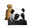 pandafeed.png