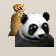 Pandafutter.png