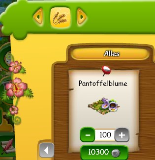Pantoffelblume im Inselshop.jpg