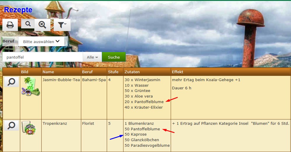Pantoffelblume und Kaprose HWP.jpg