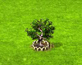 Papaubaum XL.gif