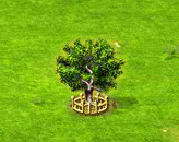 Papaubaum XXL.gif