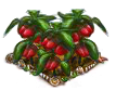 paprika.png