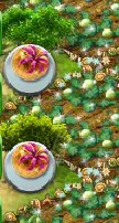 Paradiesäpfel vom Baum.jpg