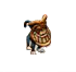 Paradiesaffe.png