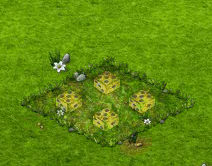 Paschmohn.gif