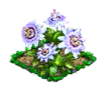 passiflora.png