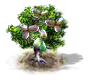 pawpaw_upgrade_0.png