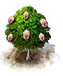 Pekannussbaum.png