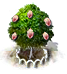 Pekannussbaum xl.png