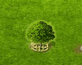 Pekannussbaum XXL.gif