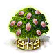 Pekannussbaum xxl.png