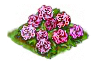 peony_Icon.png