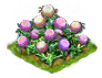 persianbuttercup_Icon.png