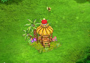 petsaleaug2016toucanegg%200[1].png