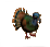 pfauen.png