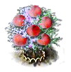 Pfirsichbaum XL.png