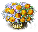 Pfirsichbaum XXL.png