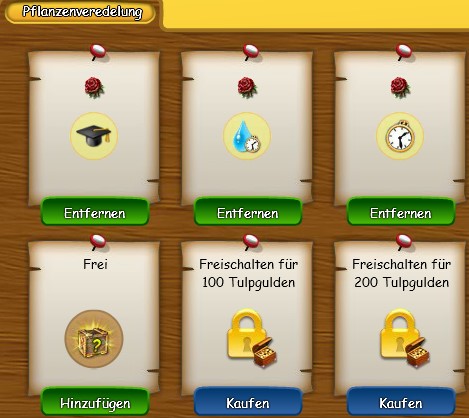 Pflanzenveredelung Gewächshaus Rose.jpg