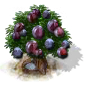 Pflaumenbaum.png