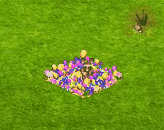 picklootpackagesep2019singing2.gif