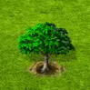 Pimpernuss[1].gif