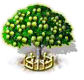 Pimpernussbaum xxl.png