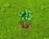 pinkbanana_upgrade_0.gif