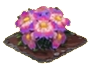 pinke Magnolie.png