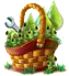 pipenov2017basket1[1].png