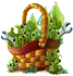 pipenov2017basket2[1].png