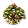 Pistazienbaum xxl.png