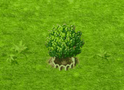 pitanga_upgrade_1.gif