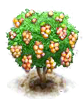 Pitomba.png