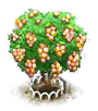 Pitomba xl.png