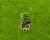 plantanus_upgrade_1.gif