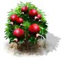 pomegranate_upgrade_0_Icon.png