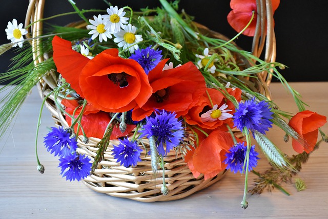 poppy-1431188_640.jpg