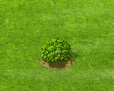 privet_upgrade_0.gif