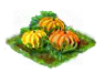 pumpkin_Icon.png