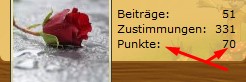Punkte im Forum.jpg