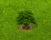 pyruspyraster_upgrade_0.gif
