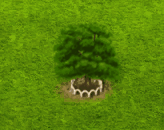 pyruspyraster_upgrade_1.gif